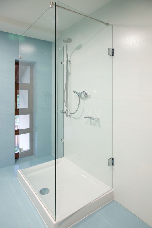 Sleek Shower with Built-In Niche